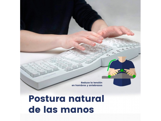 El Teclado Ergonómico USB Perixx 512 Multimedia es ideal para quienes buscan confort y funcionalidad. Su diseño en blanco no solo es elegante, sino que también promueve una postura saludable. Con teclas multimedia, tendrás acceso rápido a tus herramientas